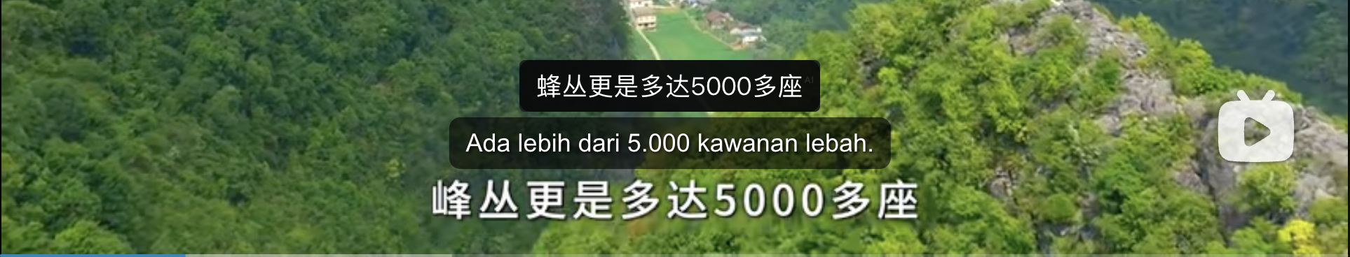 fig. ii — twin captions · dual subtitles in action